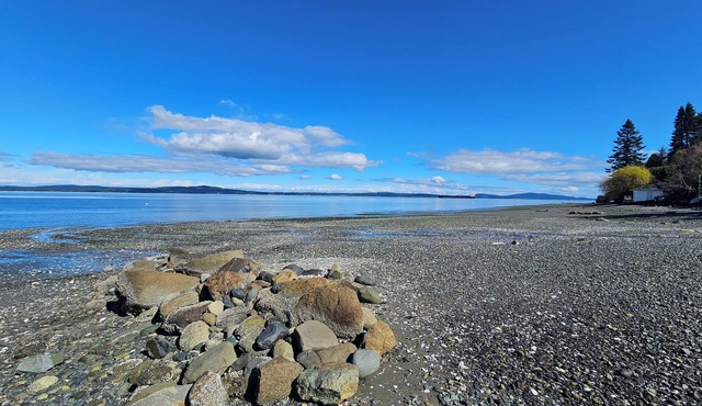 Ocean Views Beachfront in Ladysmith/Saltair!