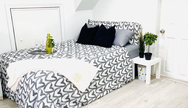 One bedroom basement suite (bus stop right outside)