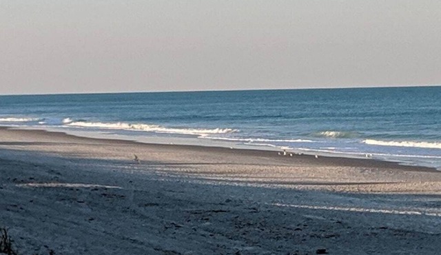 Paradise Beach West - Indialantic