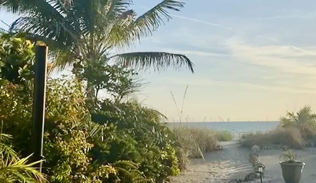 Pelican Perch: Tropical Paradise On The Beach Permit VRC17-000168