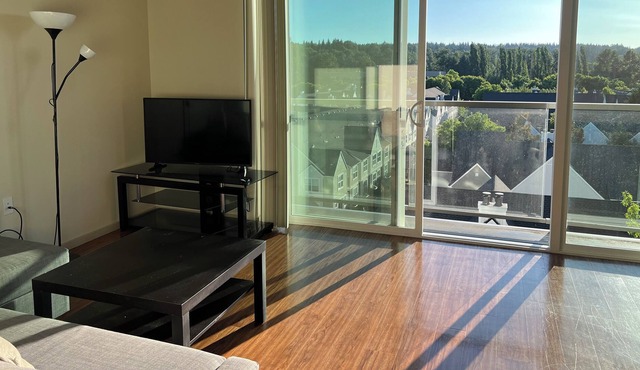 Penthouse with Panoramic View