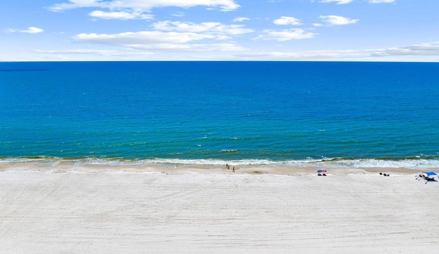 Pet Friendly Beach House - Lazy Palms