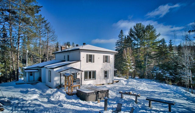 Pet Friendly Large Family Getaway - 30 Minutes from Ski Hills