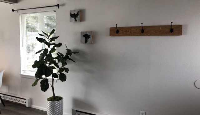 Private, Stand-Alone Apartment, 2 blocks from Greenlake