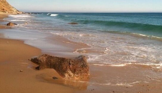 Quiet Walk To The Beach