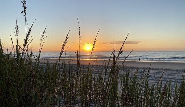 Relax and Kickback at Our Ocean Front Condo - Beachfront Bliss