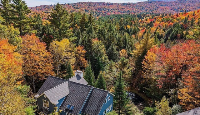 Relax & Recover Mountain Retreat - Hot Tub + Sauna + Home Gym