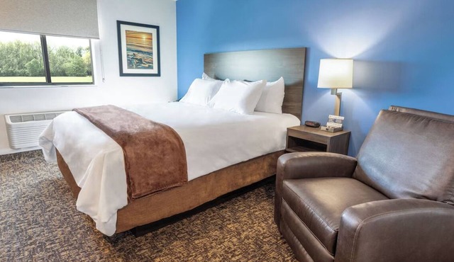 Relaxing Room w/Full Kitchen & Pet-Friendly Near White Deer Park Nature Center