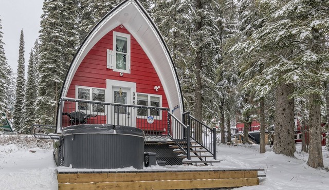 Renovated cozy cabin in sought after location with private hot tub and laundry.
