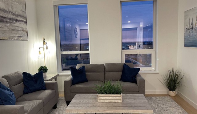 Reston Metro Apartment - Home Office off Silver Line