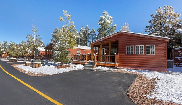 Right on the White Mountain Trail System! Hiking, Mountain Biking, Free Parking