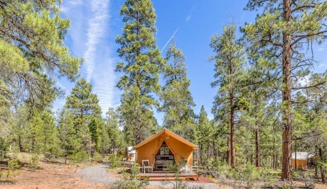 Sage Safari Glamping Tent