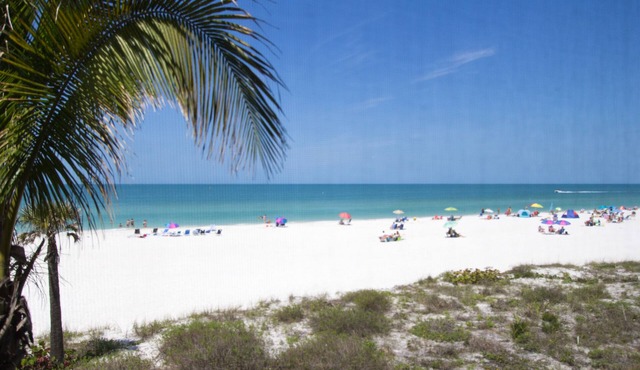 Sandcastle 3 · 8 Restaurants Nearby · Gulf Front