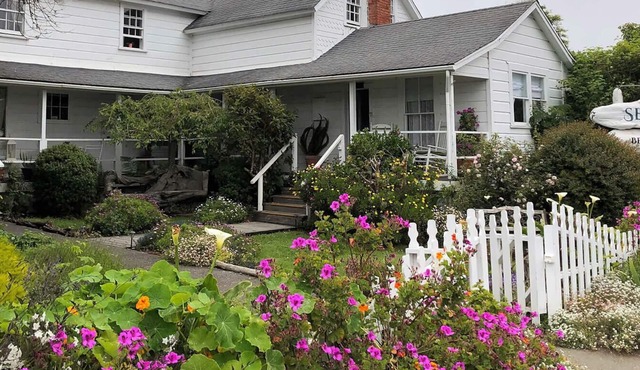 Seagull Inn