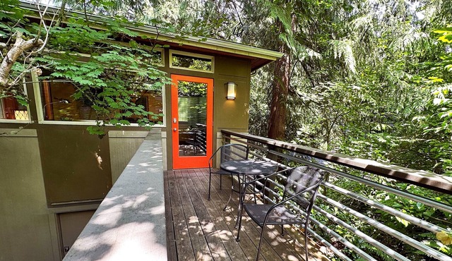 Seattle Urban Tree House