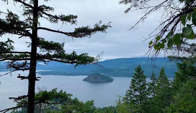 Semi-Waterfront Cottage, w/beach & dock access & buoy, West View, Pet Friendly