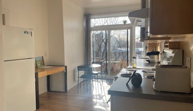 Spacious apartment in Rosemont, Montreal