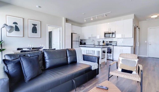 Spacious Apartment in Alexandria