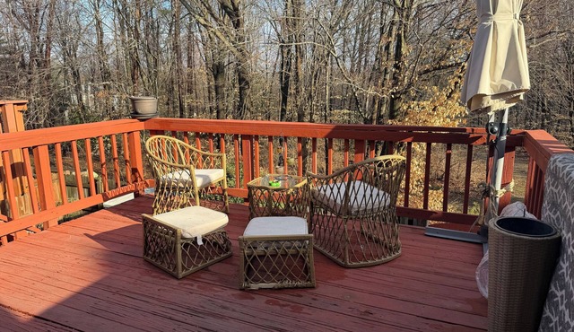 Spacious Townhouse w/Backyard Near D.C. &IAD airport