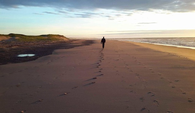 Stop! You Found It! 5 Min Stroll To Stunning White Sand Beach At Sandy Shores