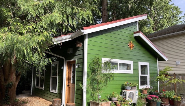 The Evergreen Scene, your private santuary at the end of the day!