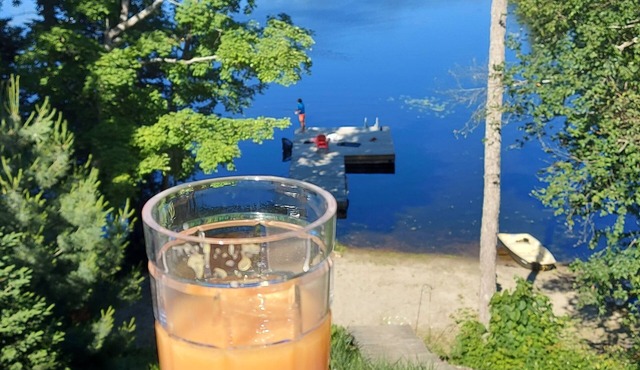 The Lakehouse - Manitowabing lake, McKellar
