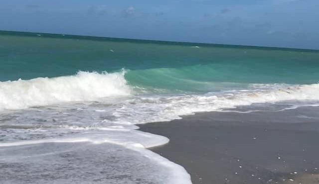 The Oceanview Oasis