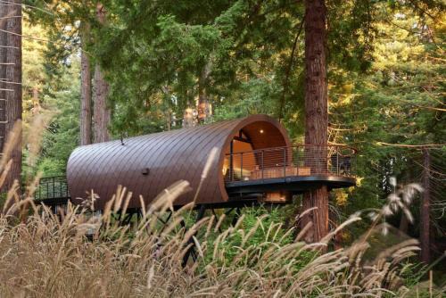 ~* The Spectacular Spyglass Treehouse *~