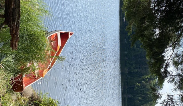 Unique feature cottage, forest, trail, lake & more. in Harcourt