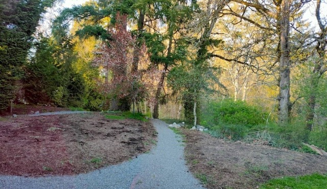 Urban Oasis with stream Private Home on 1.3 Acres