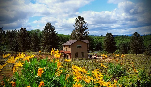 Vineyard View Sunset Suite