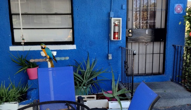 We are an old-style Floridia living establishment.