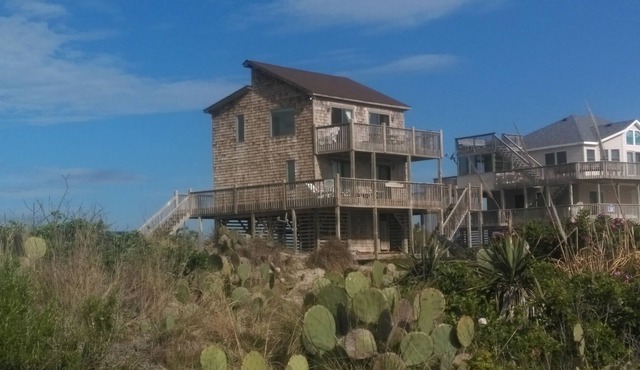 Wild Horses, Endless Ocean Views, 4X4 in Corolla