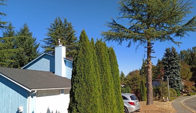 Your Sweet Home @ Somerset Bellevue, a sought after place near golf club, shops!