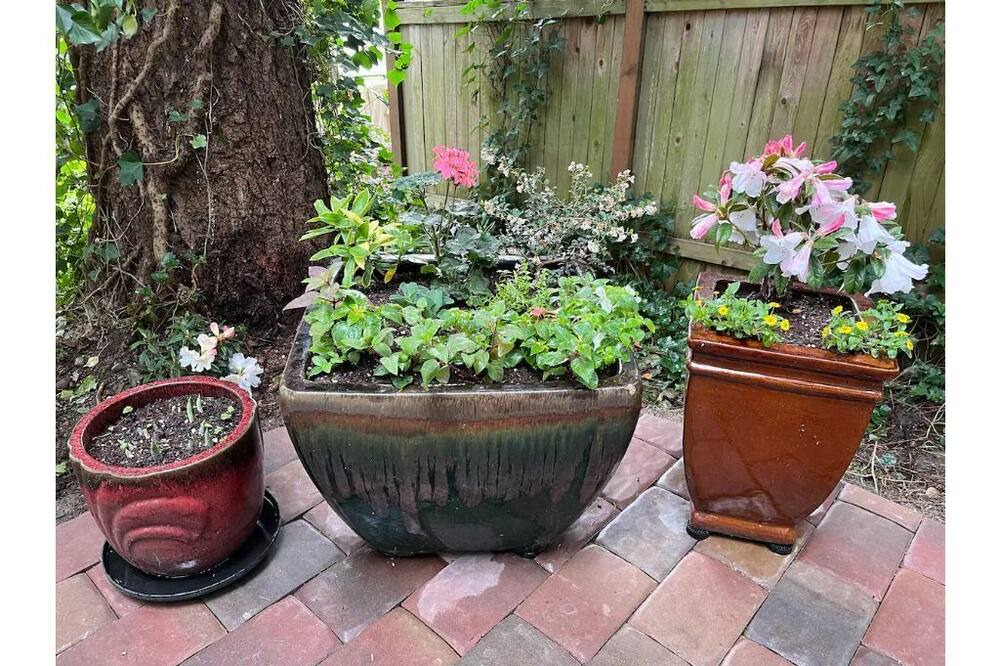 Photo of Outdoor in Olympic Hills