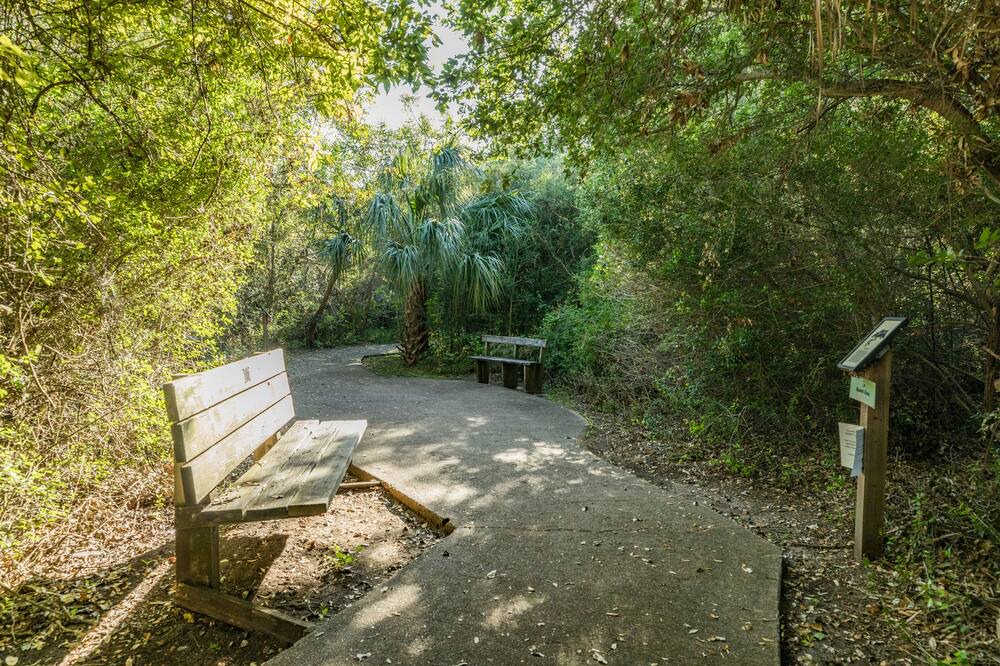 Photo of Outdoor in Indian Beach