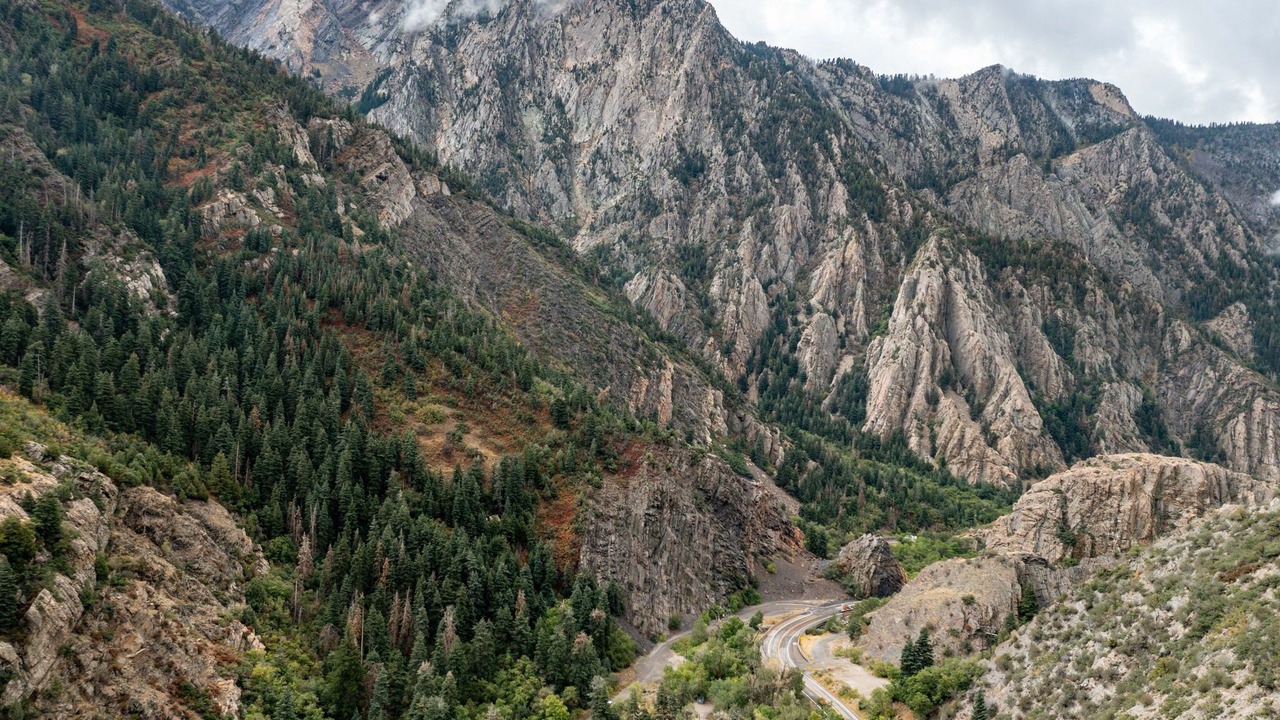 Photo of Others in Snowbird