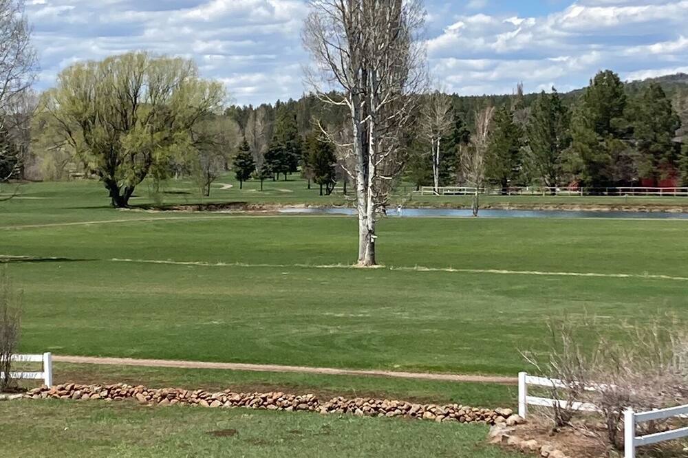 Photo of Others in Munds Park