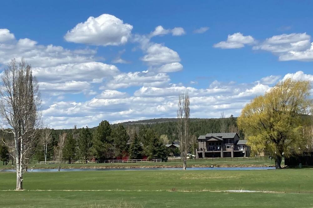 Photo of Others in Munds Park