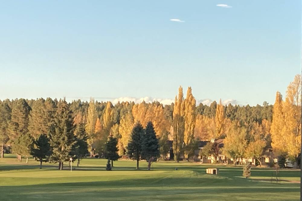 Photo of Others in Munds Park