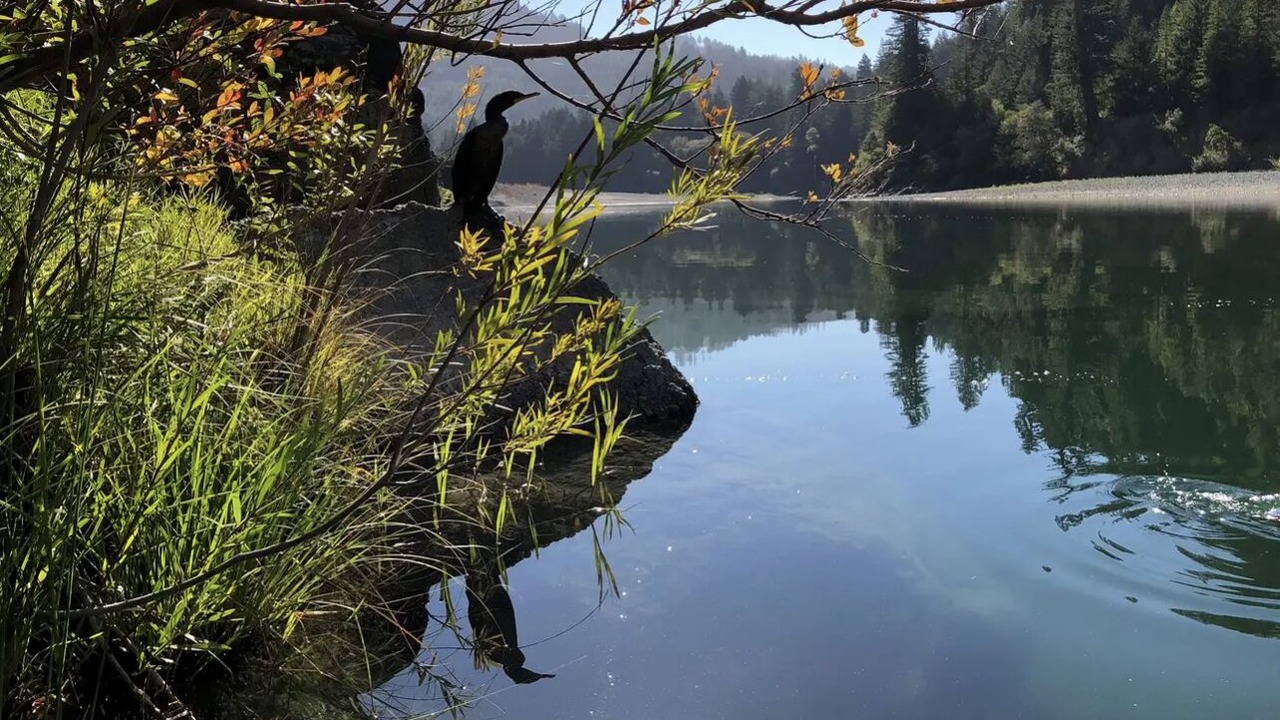 Photo of Outdoor in Myers Flat