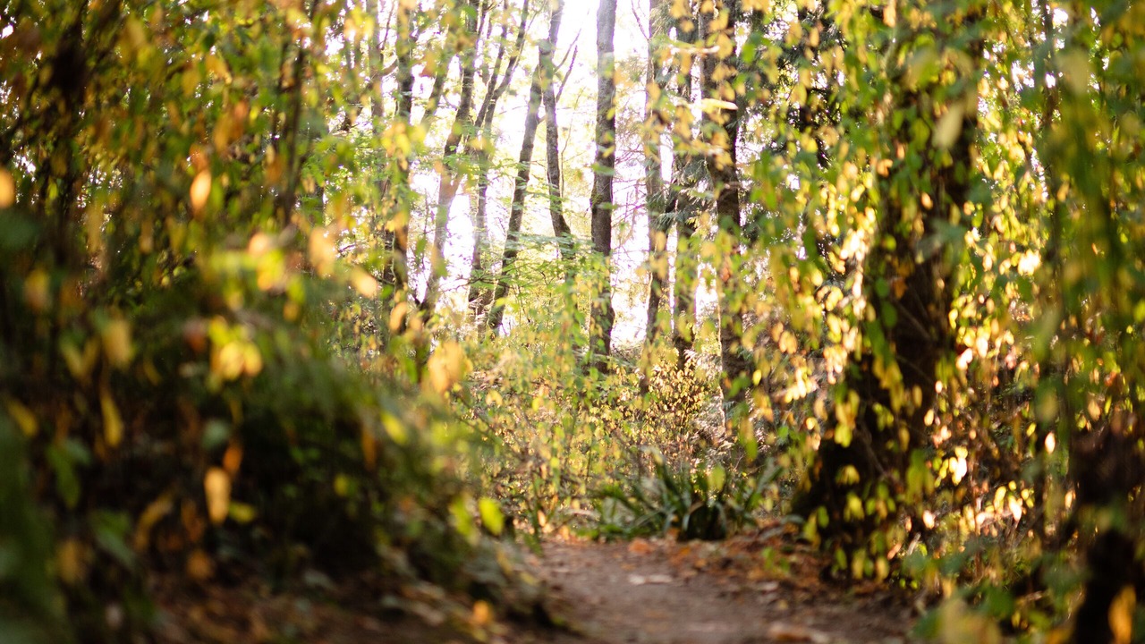 Photo of Outdoor in Kirkland