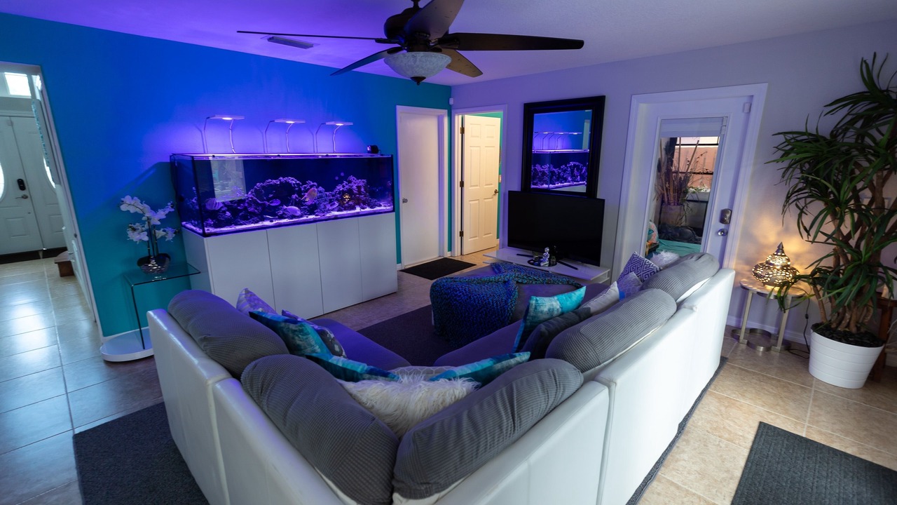 Photo of Livingroom in Tropic