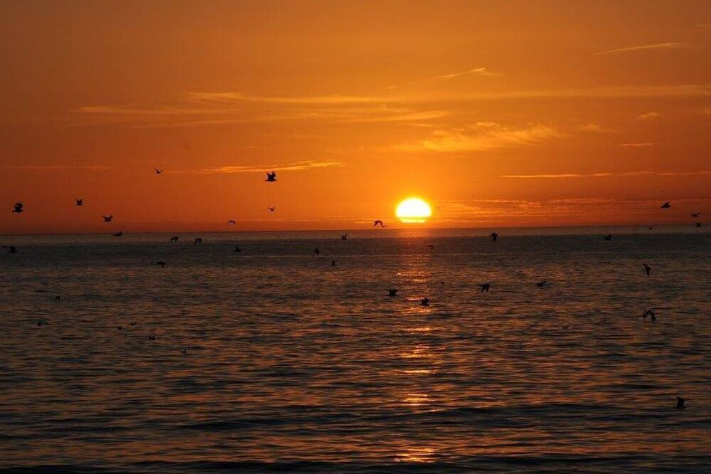 Photo of Outdoor in Siesta Key