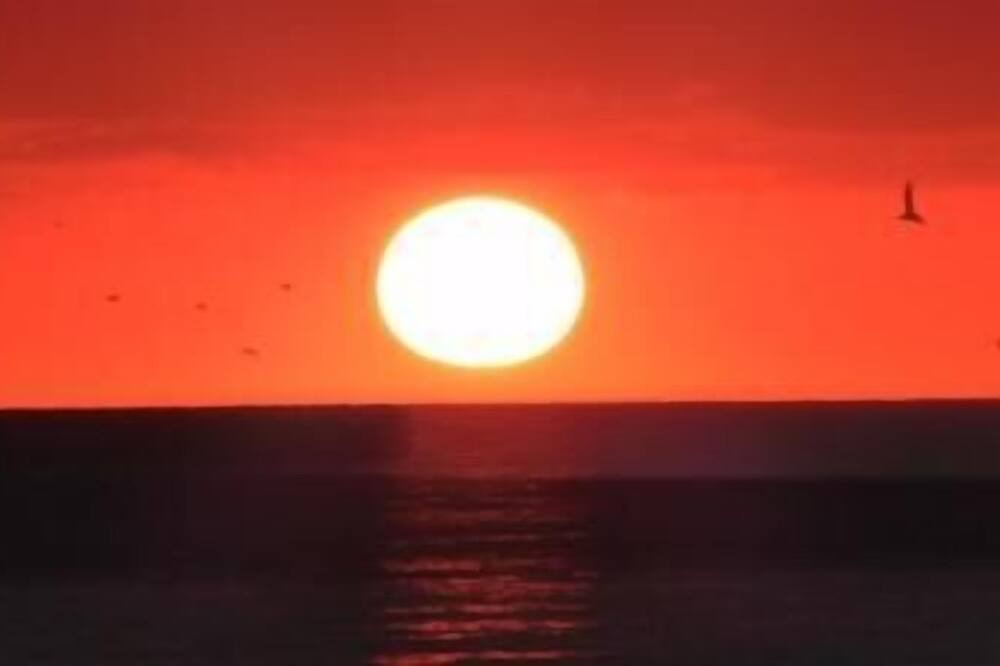 Photo of Others in Siesta Key