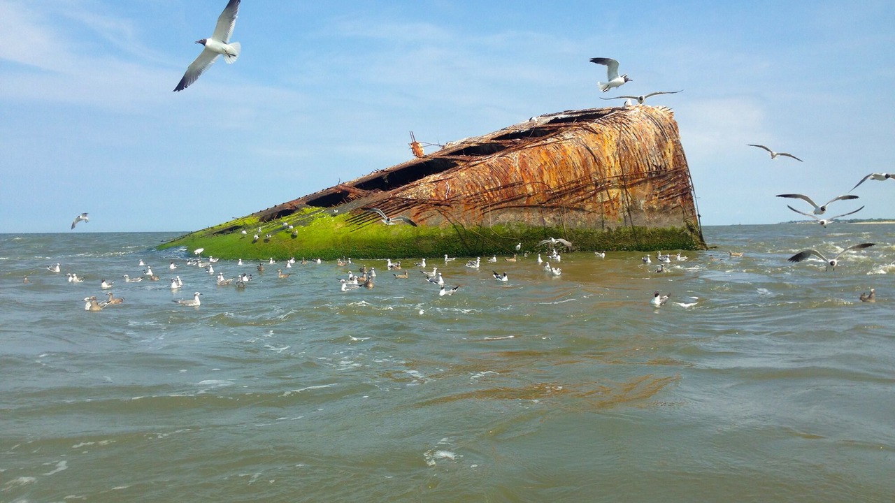 Photo of Others in Cape May Point