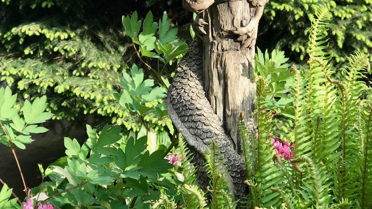 Photo of Outdoor in Seattle Metro Area