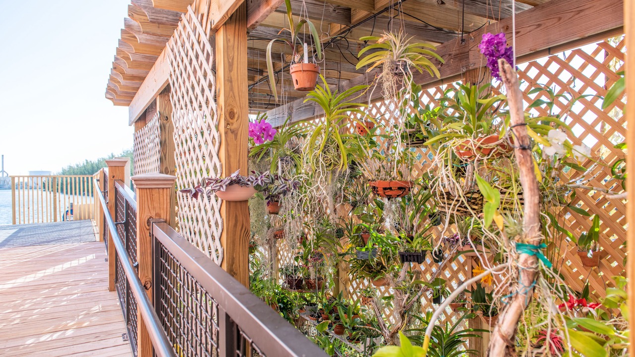 Photo of Outdoor in Key West