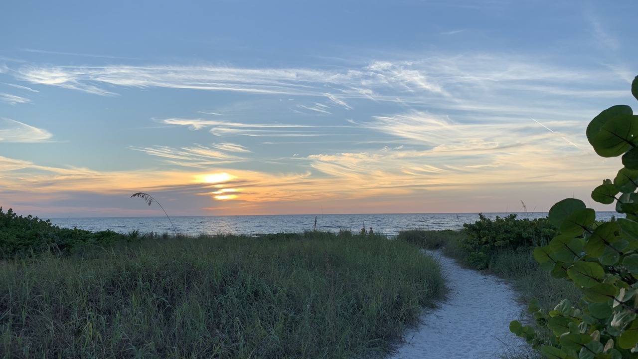 Photo of Outdoor in Siesta Key
