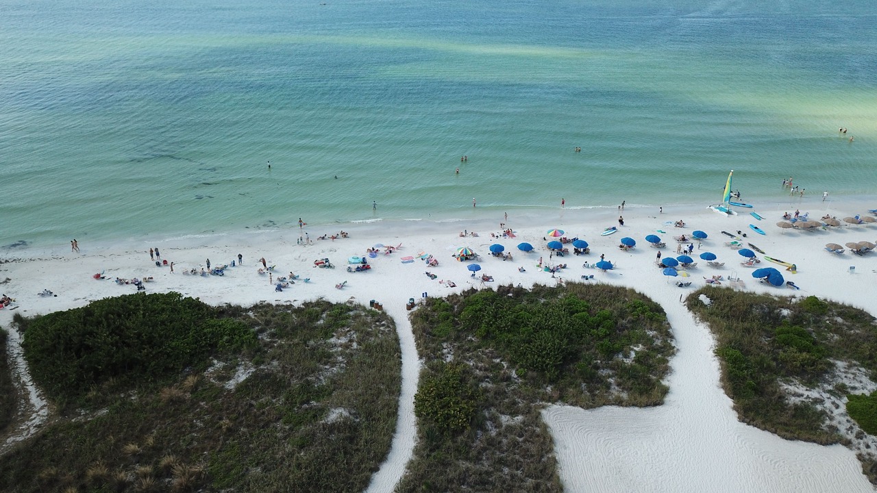 Photo of Outdoor in Siesta Key